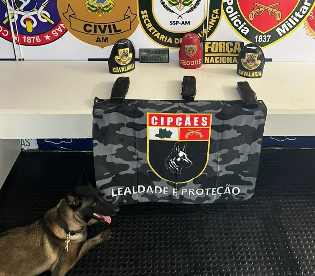 Base Arpão 3: Cão policial encontra entorpecente camuflado em banheiro de embarcação