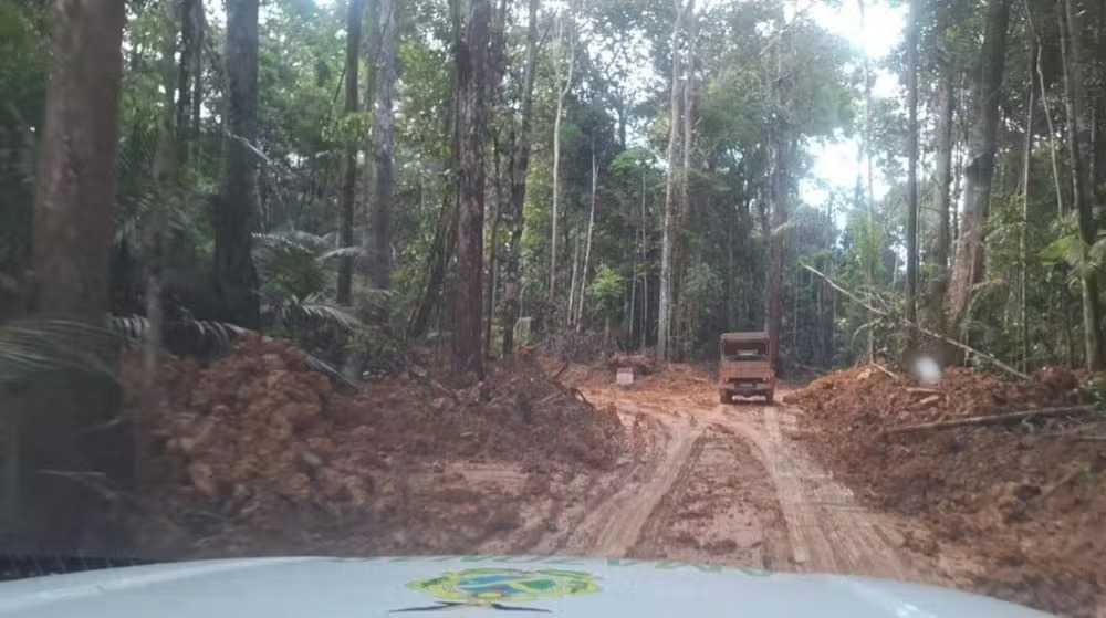 Igarapé é alterado e empresário é multado em mais de R$400 mil no interior do AM